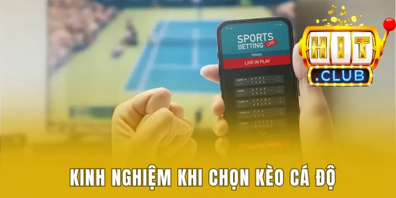 Kinh nghiệm cho người mới khi chọn kèo cá độ